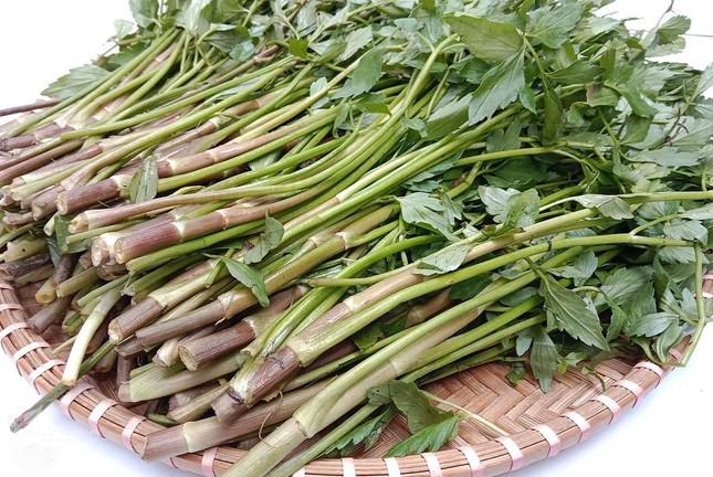 Rau cần có nhiều lợi ích nhưng những người sau nên tránh xa tuyệt đối - 2