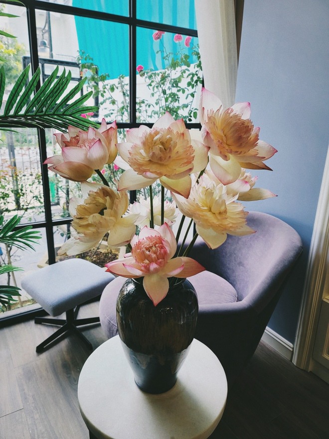 Cả hai vợ chồng cô đều thích nội thất có màu
sắc mạnh.