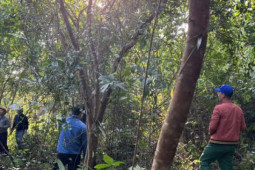Giải tỏa khu ”rừng ma” để thi công cao tốc Vạn Ninh - Cam Lộ