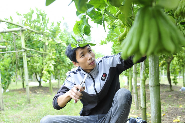 The Buddhist village in the heart of Hanoi is busy with the harvest season to serve the Lunar New Year - 7