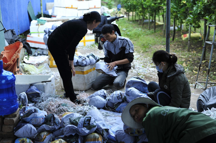 The Buddhist village in the heart of Hanoi is busy with the harvest season to serve the Lunar New Year - 9