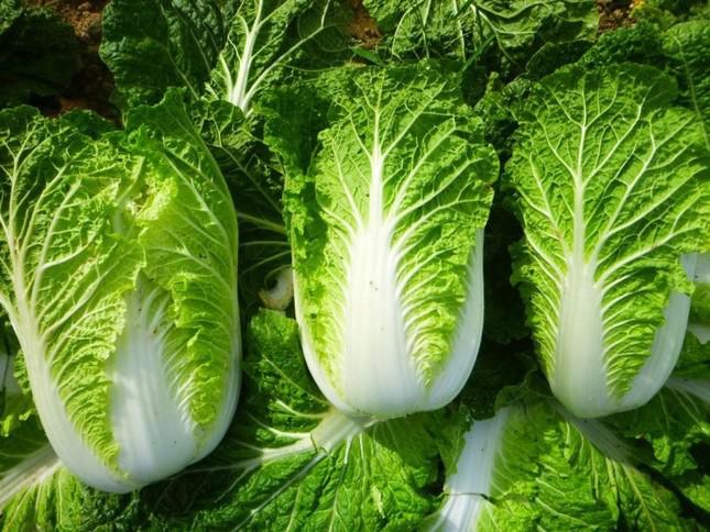 Những người nên tránh xa rau cải, cố tình ăn như &#34;đưa thuốc độc vào người&#34; - 2