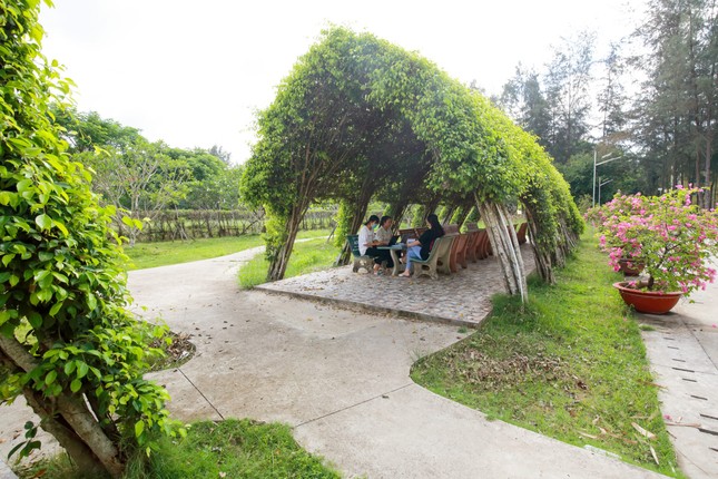 Ngắm khuôn viên Đại học Trà Vinh - ngôi trường lọt Top 200 Đại học xanh phát triển bền vững - 6