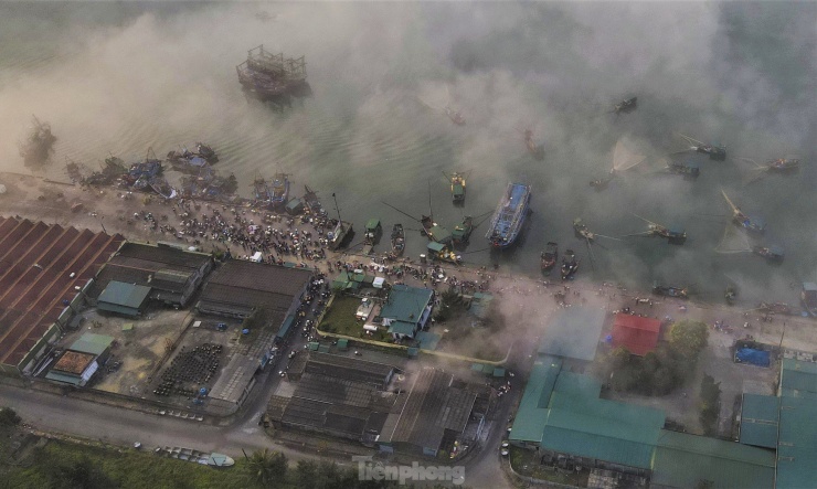 Từ sáng sớm, thuyền đánh bắt gần bờ đã cập cảng mang về đầy cá tôm, ngư dân phải làm việc luôn tay để đưa hải sản lên bờ.