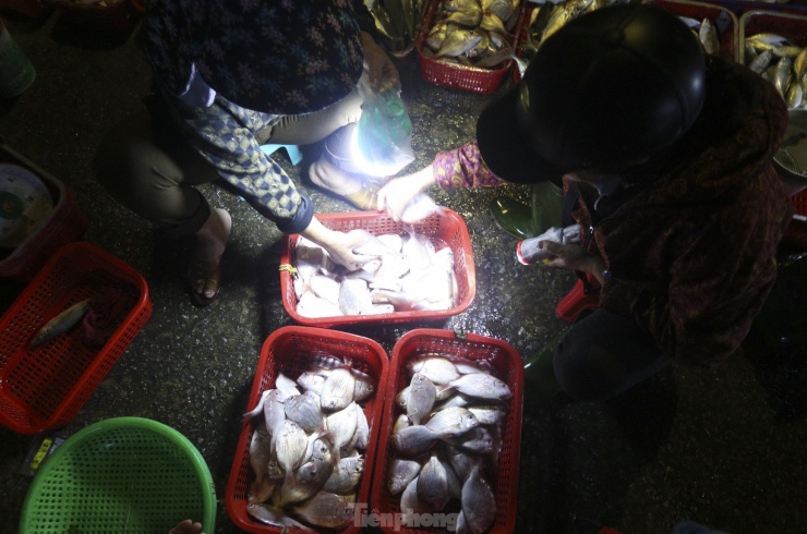Trên bến cảng, không khí làm việc sôi động, nhộn nhịp cũng đang diễn ra với hàng trăm tiểu thương thu mua hải sản và tiếp tế hậu cần phục vụ sản xuất.