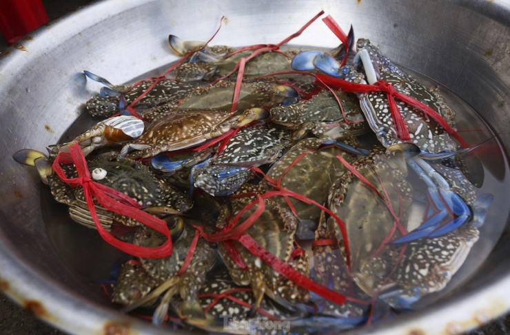 Lãnh đạo Ban Quản lý các Cảng cá Hà Tĩnh cho biết, tất cả các tàu thuyền vào tránh trú mưa bão đều đã xuất bến. Đội tàu đánh bắt ở vùng gần bờ (đi biển 1 - 2 ngày/chuyến) sau khi ra khơi đã mang hàng chục tấn ghẹ, cá, tôm, ốc vào bờ bán cho thương lái.