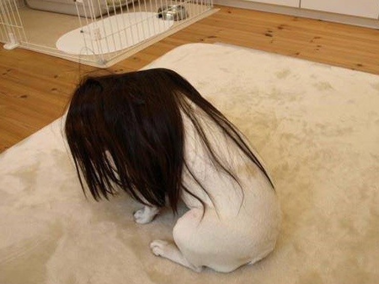 Tin vịt: Dép cần phải có đôi, tại sao chỉ phi tôi có 1 chiếc?