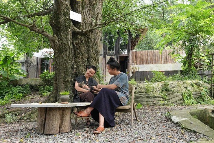 Damei và Hiro là một cặp vợ chồng 8x, quê ở Quý Châu, Trung Quốc. Năm 2014, hai vợ chồng bỏ công việc ở thành phố Thâm Quyến về quê khởi nghiệp. Tuy nhiên dịch bệnh khiến công việc của họ gặp nhiều khó khăn.
