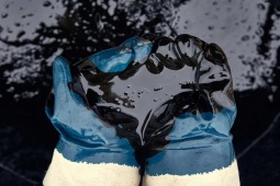 Media - Dầu mỏ hình thành như thế nào?