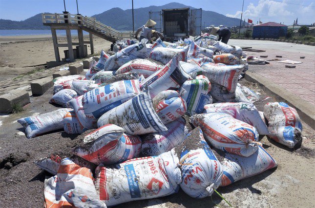 "Ốc ruốc được các thương lái thu gom, tập kết lên 6-8 thùng xe container rồi vận chuyển đi vào miền Nam tiêu thụ, để nghiền làm thức ăn nuôi thủy hải sản. Hiện, giá mỗi bao tải ốc ruốc được bán tại khu vực bờ biển của địa phương dao động khoảng từ 60.000-80.000 đồng, bình quân mỗi người một ngày thu nhập khoảng 500.000 đồng, nhiều người thu nhập lên đến hàng triệu đồng”, vị lãnh đạo địa phương thông tin.