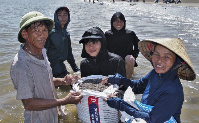 Không khí làm việc cào "lộc biển" ốc ruốc diễn ra rất khẩn trương và rộn vang tiếng cười nói cả một khu vực.
