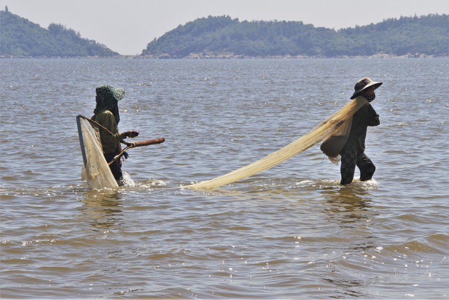 Cứ khoảng 20 phút ngâm mình dưới nước biển, họ lại mang lên bờ khoảng 10 kg ốc ruốc biển lẫn các loài nhuyễn thể