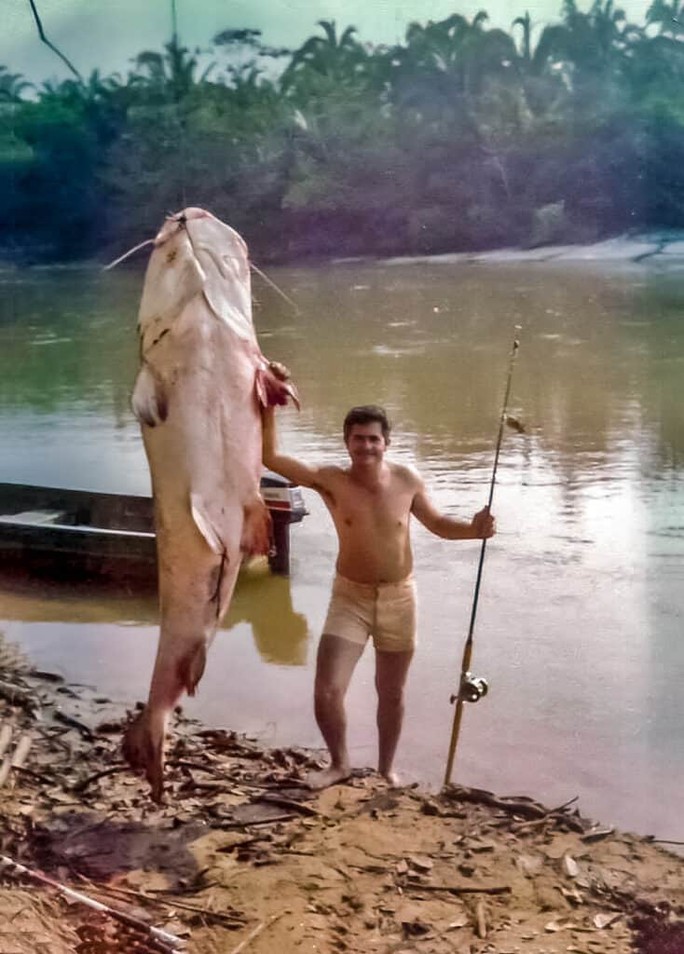 Một con cá Piraíba khổng lồ - Ảnh: AZ ANIMAL