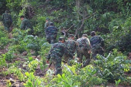 Pháp luật - 12 ngày đêm theo dấu "người rừng" (Kỳ 1): "Người rừng" xuất hiện