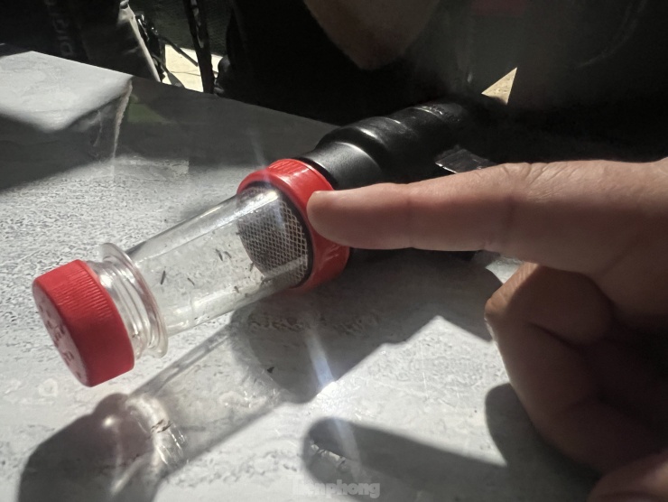 Mỗi đêm, các nhân viên bắt được gần cả trăm con muỗi sau mỗi lần cho "ăn mồi".