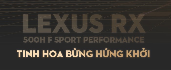Trải nghiệm Lexus RX 500h F SPORT Performance dọc miền Trung - 18