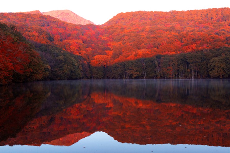 Cây cối bên trong công viên Quốc gia Towada-Hachimantai, dưới chân núi Hakkoda, tỉnh Aomori đã chuyển sang màu đỏ, thậm chí nơi này còn được sử dụng làm áp phích cho hãng tàu JR East. 
