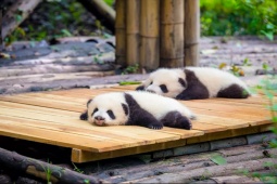 Du lịch - Những điểm đến tuyệt vời ở Trung Quốc cho cả gia đình