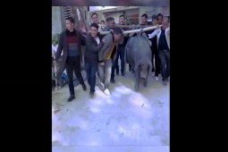 Clip hài hước - Cuộc sống mỗi ngày có quá nhiều điều buồn cười