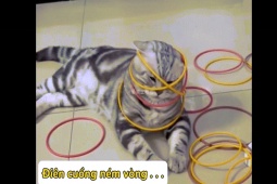 Clip hài hước - Những con vật "bất lực" khi bị chủ troll