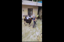 Clip hài hước - Cuộc sống của những người thích đùa vui cỡ nào?