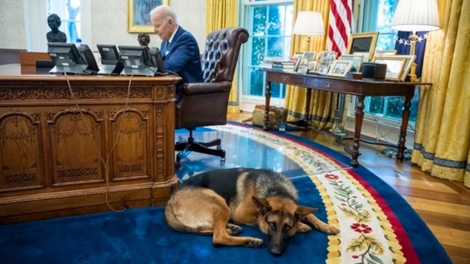 Chó cưng của ông Biden đã bị “trục xuất” khỏi Nhà Trắng (ảnh: CNN)