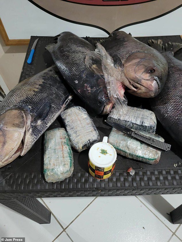 Cảnh sát Brazil hiện đang truy bắt các nghi phạm có liên quan.