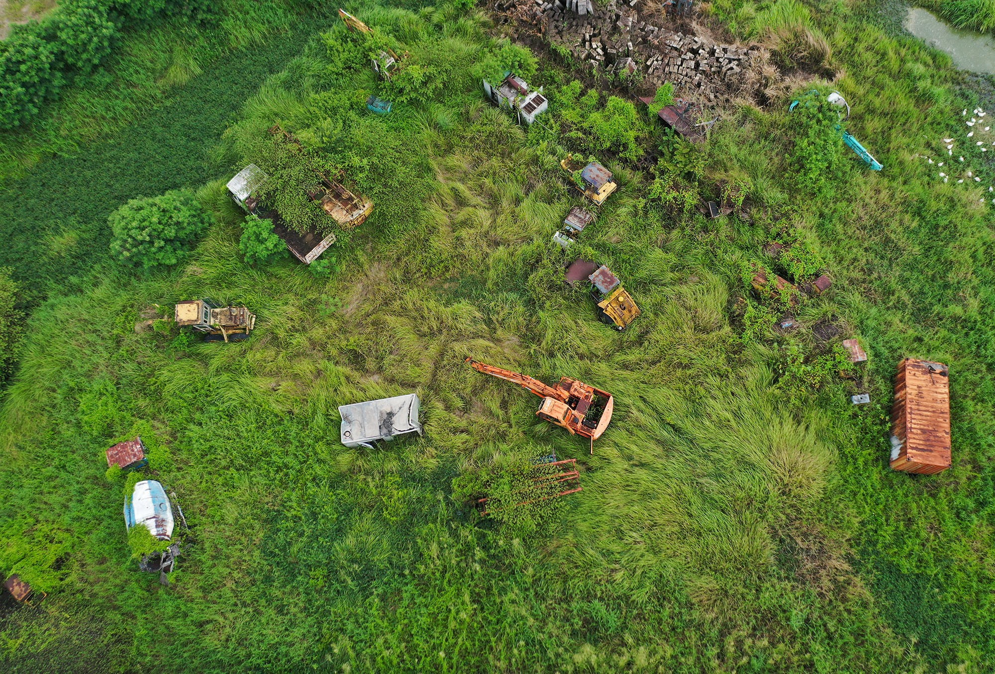 Khu vực nằm bên cầu vượt tập trung hàng chục máy móc, thiết bị đang bị cây cối, cỏ dại phủ kín một màu xanh, trở nên hoang phế.