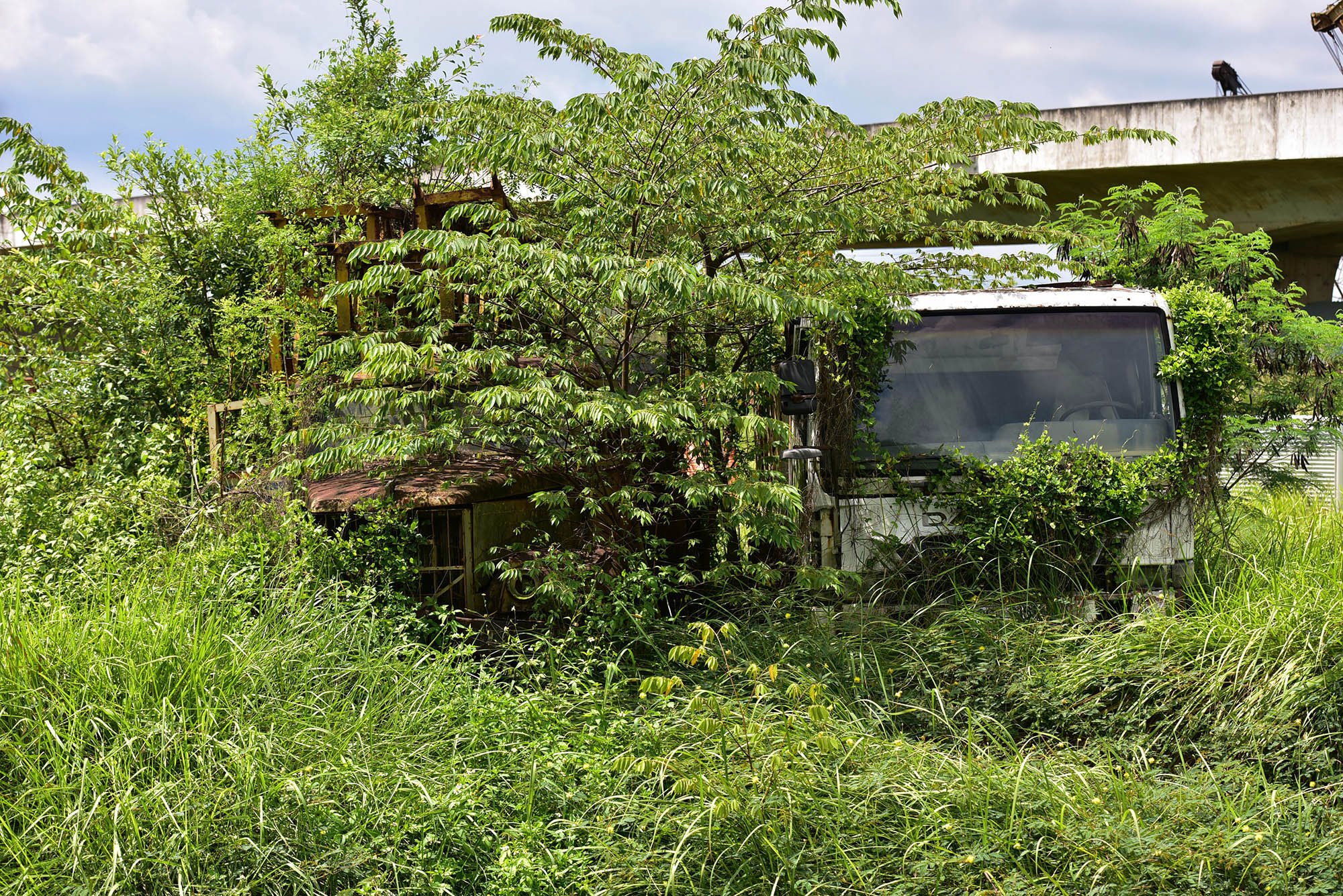 Một số bị cây cỏ bao trùm khó nhận diện hình dạng thiết bị. Nhiều máy bóng bị bung rơi các bộ phận, hỏng hóc sau nhiều năm không hoạt động.