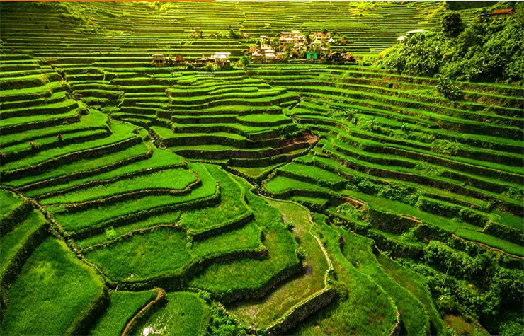 Những trải nghiệm đáng kinh ngạc ở Đông Nam Á - 4