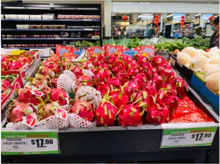 Thế nhưng, khi xuất sang châu Âu, thanh long được bày biện trang trọng trong các siêu thị lớn với mức giá trên 600.000 đồng/kg. Ảnh: Báo công thương