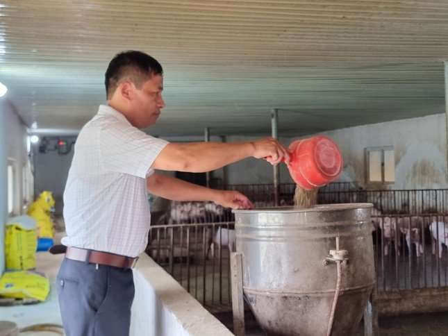 Ông Lê Minh Hiền chia sẻ, giá lợn hơi thời gian gần đây biến động khá mạnh khiến người nuôi mất ăn, mất ngủ