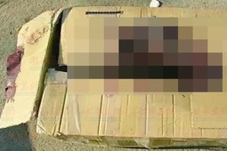 Pháp luật - Triệu phú mất mạng khi biết vợ đưa tình trẻ về nhà: Thi thể trong thùng carton