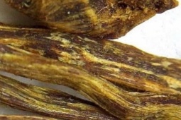 Tin tức trong ngày - Thực hư chuyện hai người dân nhặt được trầm kỳ nhưng bán... "hớ"