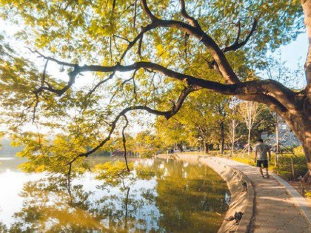 Tin tức trong ngày - Miền Bắc hửng nắng trước khi đón không khí lạnh tăng cường