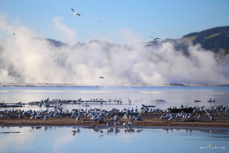 Những “du khách” tí hon đang thưởng thức cảnh sắc thiên nhiên.