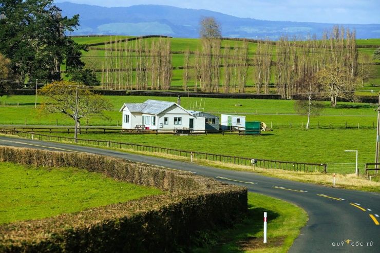Những căn nhà nhỏ trên đồng cỏ xanh.