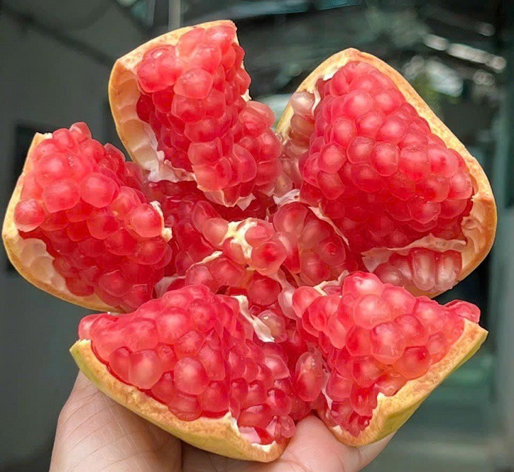 Năm nay lựu hạt mềm được bán với giá rất rẻ, chỉ bằng 1/5 so với trước đây.