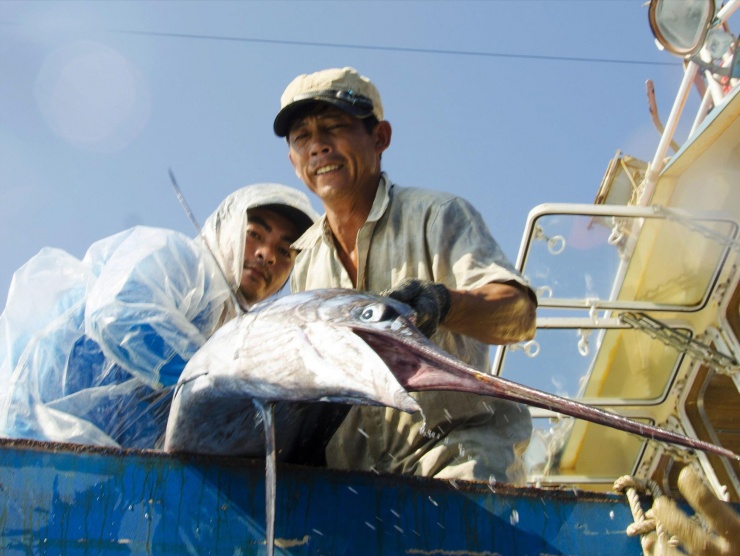 Chiếc mỏ nhọn hoắt của một con cá kiếm nặng 50 kg. Ảnh: Văn Chương