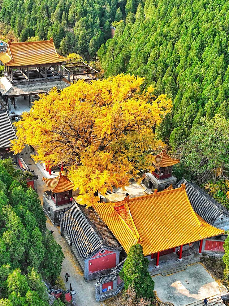Lingyan Temple (chùa Linh Nham) là một ngôi chùa Phật giáo nằm ở huyện Trường Khánh, thành phố Tế Nam, tỉnh Sơn Đông, Trung Quốc.
