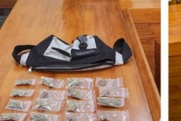 Pháp luật - Lôi kéo bạn gái 10X tham gia đường dây mua bán cần sa qua dịch vụ chuyển phát nhanh