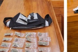 Pháp luật - Lôi kéo bạn gái 10X tham gia đường dây mua bán cần sa qua dịch vụ chuyển phát nhanh