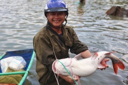 Tin tức trong ngày - Hàng nghìn người đổ về chân đập thuỷ điện bắt cá “khủng”