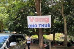 Tranh vui - Những lỗi sai chính tả khiến người đọc muốn "lú"