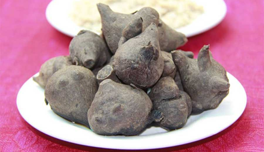 Tự ý sử dụng Ấu Tẩu tiềm ẩn nhiều nguy cơ nguy hiểm