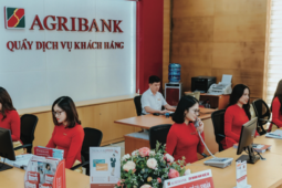 Kinh doanh - Ba &quot;ông lớn&quot; ngân hàng đồng loạt hạ lãi suất gửi tiết kiệm