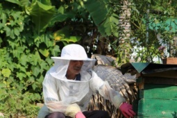 Nuôi ong lấy mật giúp nông dân miền núi thoát nghèo