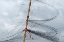 CLIP: Hình ảnh đau nhói bên "ma trận" tận diệt chim trời ở Quảng Trị