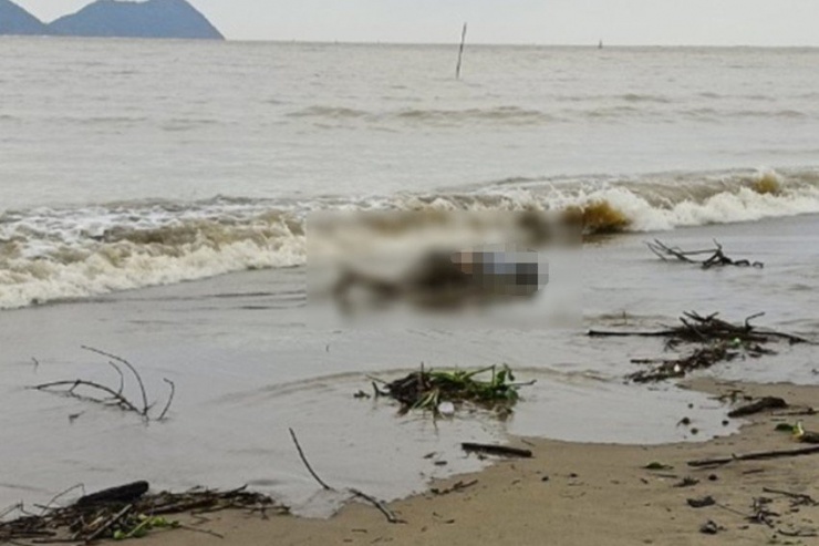 Thi thể nạn nhân dạt vào bờ biển Xuân Hội.