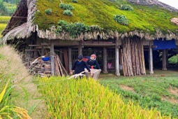 Du lịch - Những mái nhà rêu có một không hai tại bản người Dao bên sườn Tây Côn Lĩnh